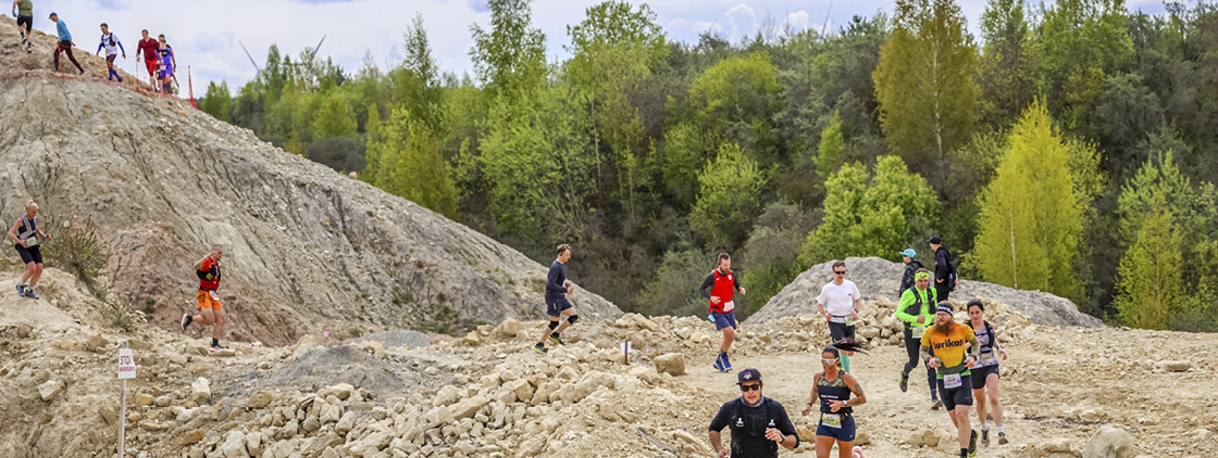 Latvijas valsts mežu Stirnu buks