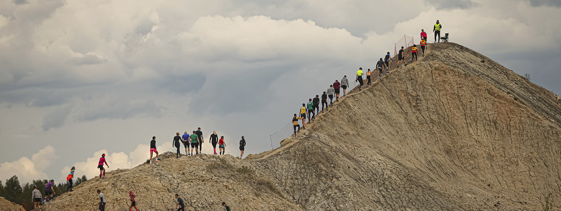 Latvijas valsts mežu Stirnu buks