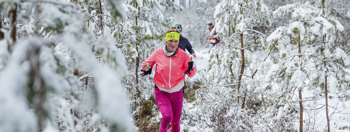 Latvijas valsts mežu Stirnu buks