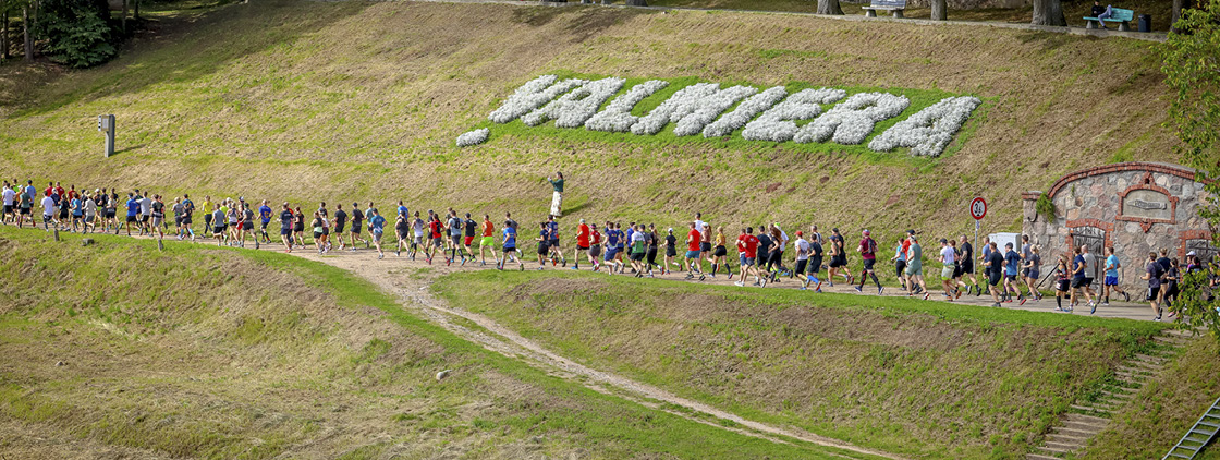 Latvijas valsts mežu Stirnu buks