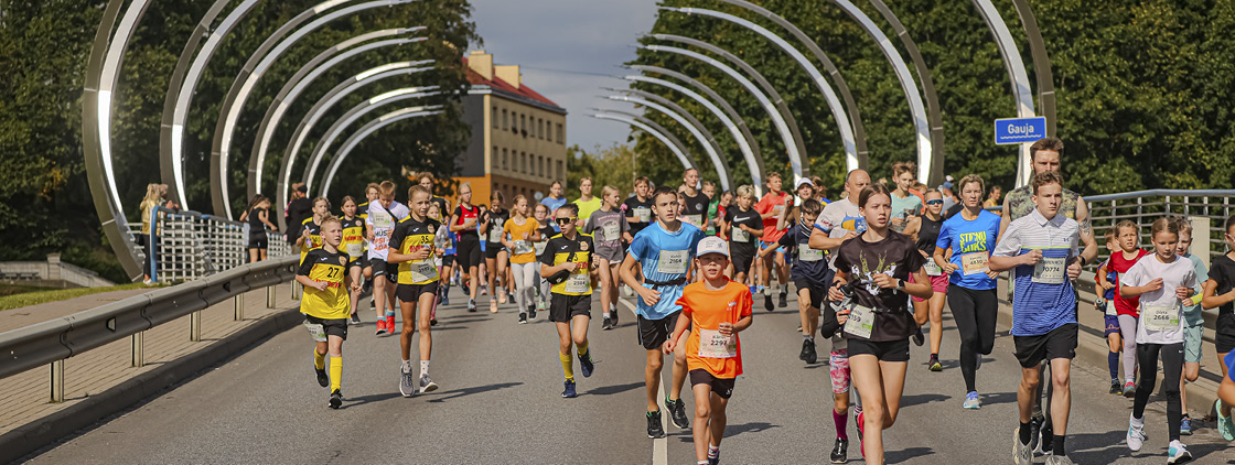 Latvijas valsts mežu Stirnu buks