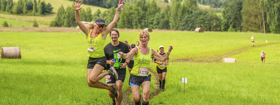 Latvijas valsts mežu Stirnu buks