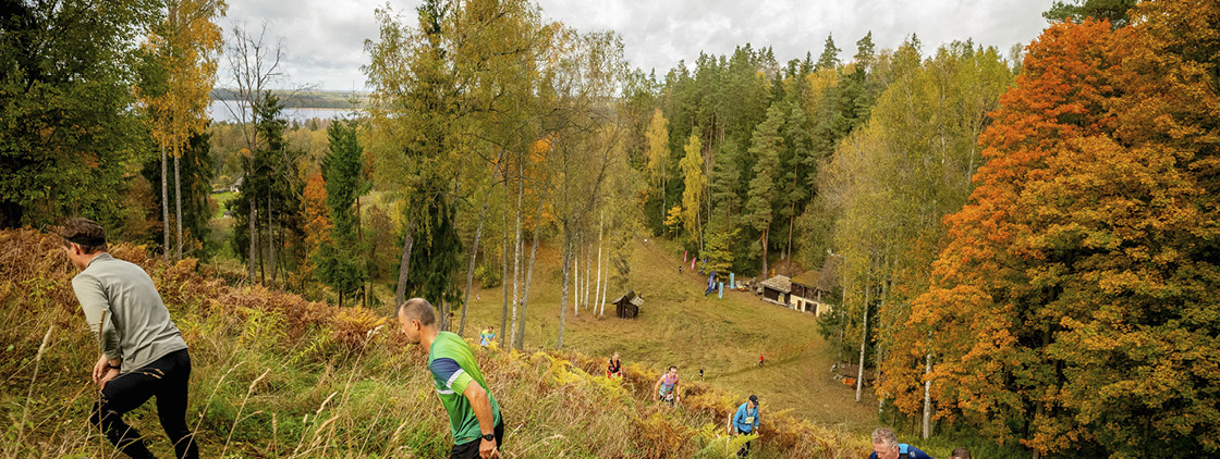 Latvijas valsts mežu Stirnu buks