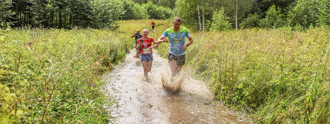 Latvijas valsts mežu Stirnu buks