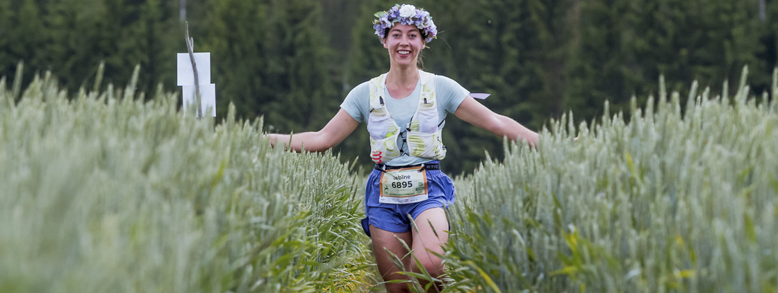 Latvijas valsts mežu Stirnu buks