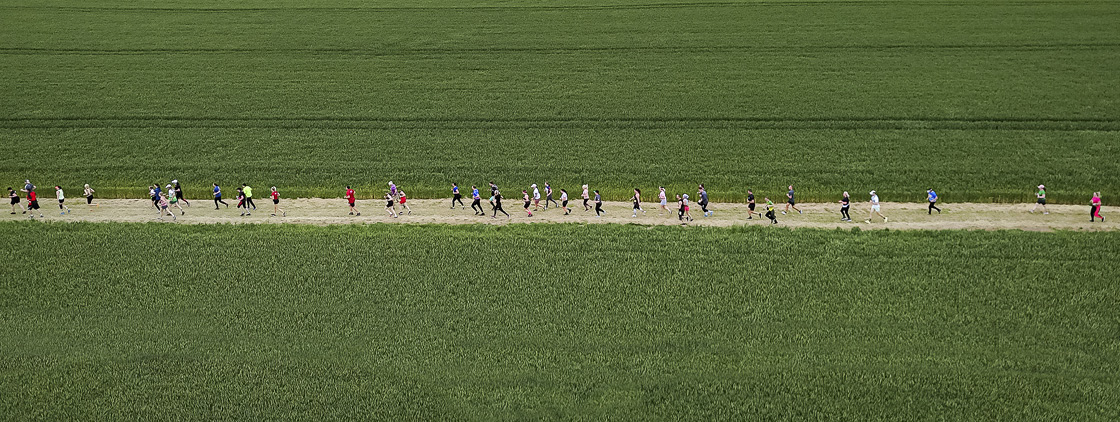 Latvijas valsts mežu Stirnu buks