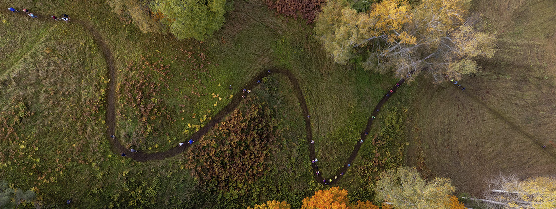 Latvijas valsts mežu Stirnu buks