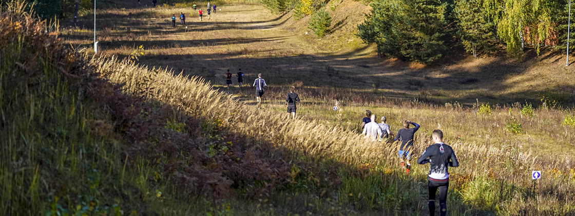 Latvijas valsts mežu Stirnu buks