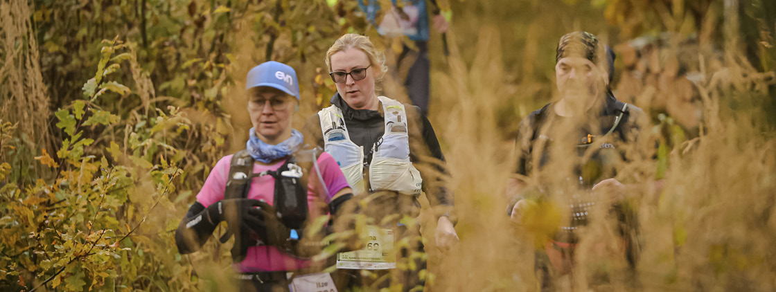 Latvijas valsts mežu Stirnu buks