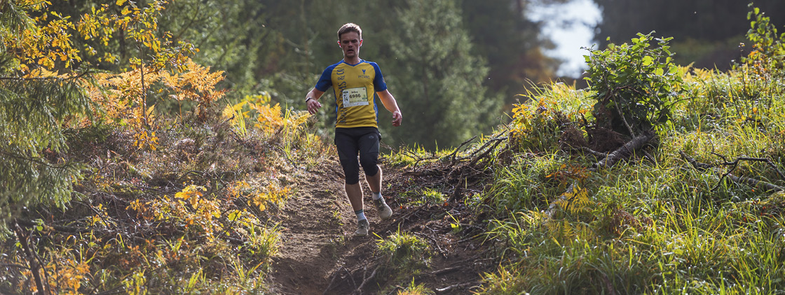 Latvijas valsts mežu Stirnu buks
