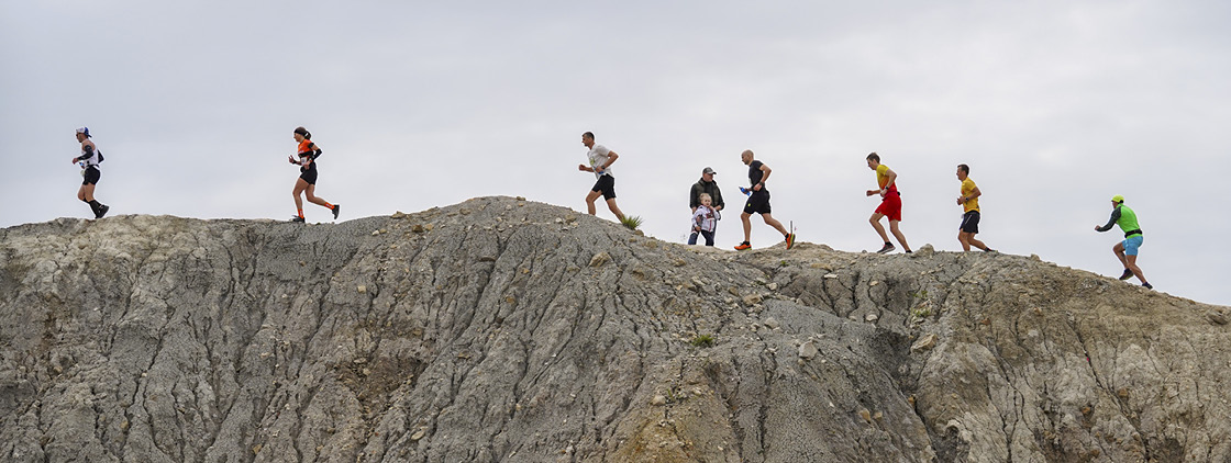 Latvijas valsts mežu Stirnu buks