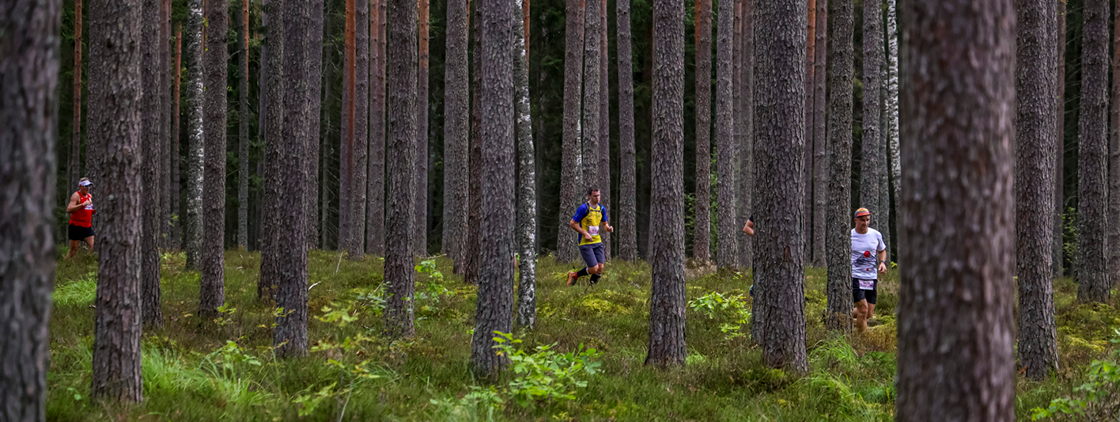 Gauja Trail by UTMB