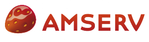 Amserv_logo-300x86