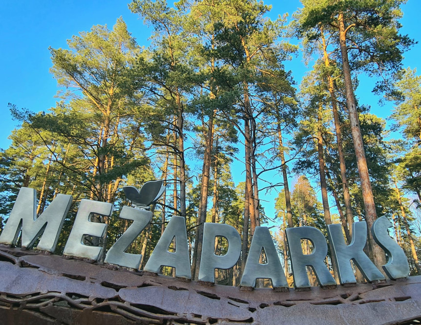 Stirnubuks.lv - Stirnu buki leks, lācēni gatavosies! Un citi jaunumi…