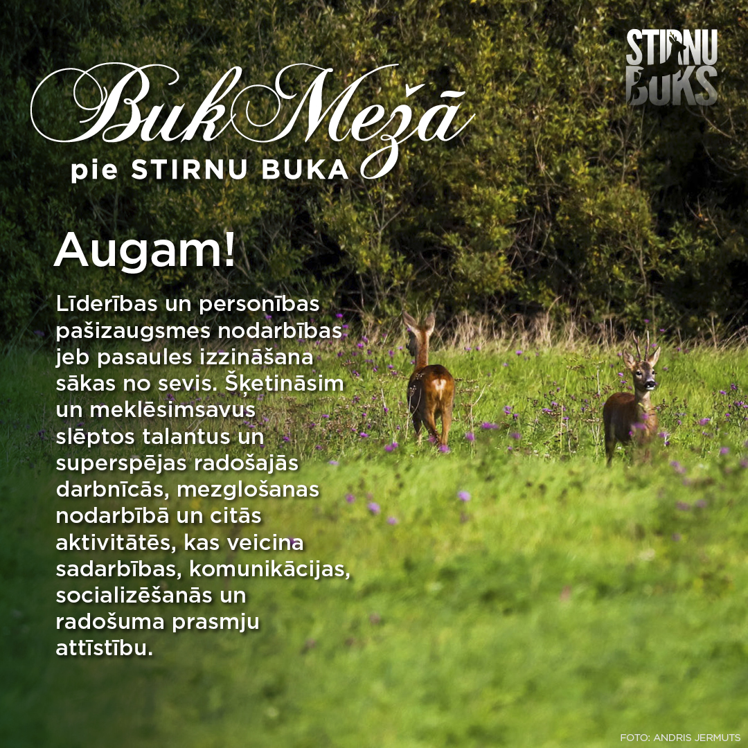 Bukmeza_nometne_FB_7