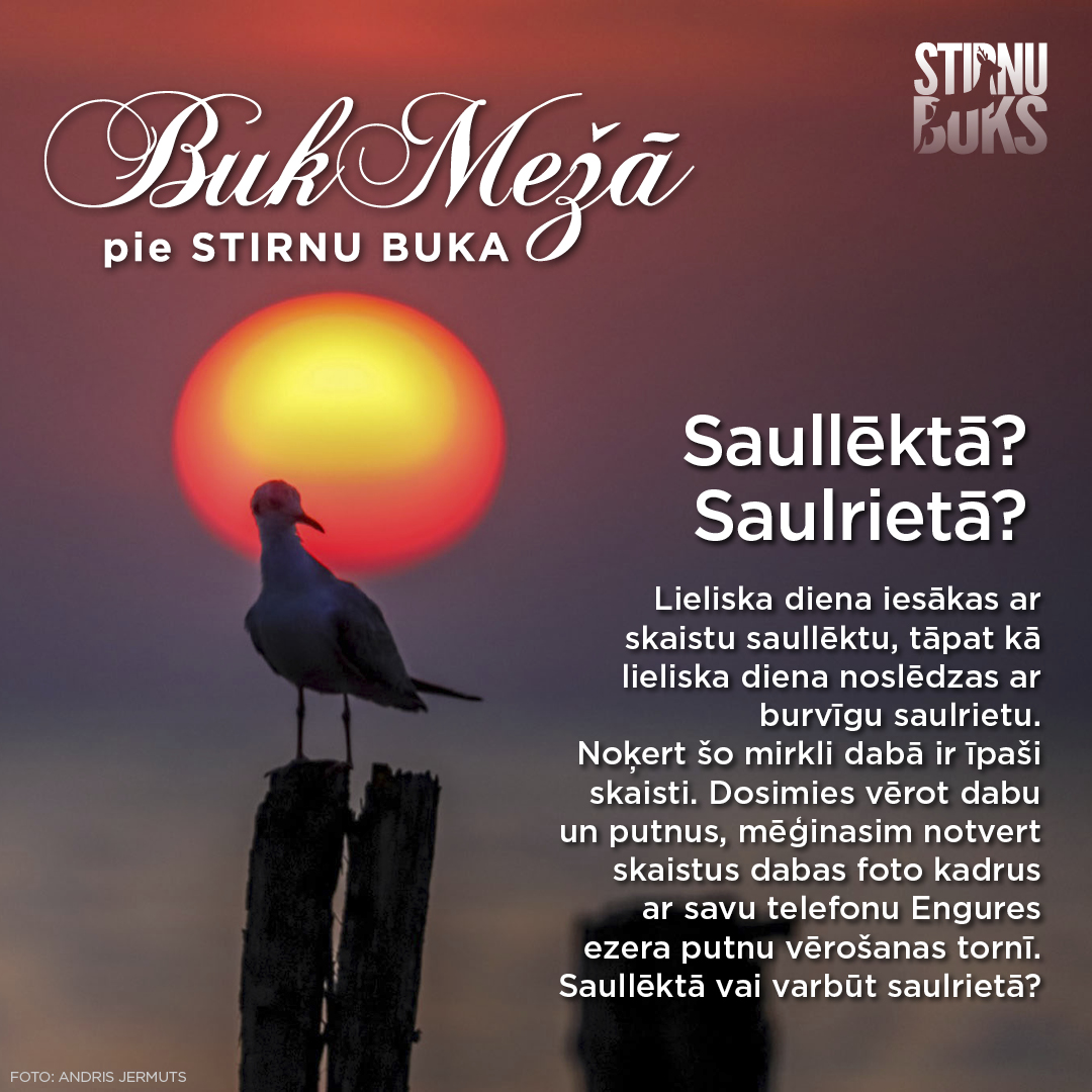 Bukmeza_nometne_FB_8